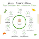 Ginkgo Ginseng Mix 8000  - Ginkgo & Ginseng Spezial Extrakt - 365 Tabletten