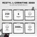 Acetyl L-Carnitin - 3000 mg Tagesdosierung - 250 Kapseln