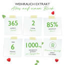 Weihrauch Extrakt 1000  - 1000 mg pro Tag - 85% Boswellia-S&auml;ure - 365 Kapseln