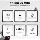 Tribulus Max - 180 Kapseln - 750 mg - 95% Saponine
