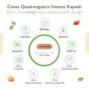 Cissus Quadrangularis Intenso - 180 Kapsel - 725 mg Extrakt - 40% Ketosterone Anteil - Laborgepr&uuml;ft