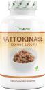 Nattokinase - 180 Kapseln mit je 100 mg (20.000 FU pro g...