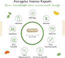 Astragalus - 180 Kapseln - 50% Polysachharide - Reines Tragant Extrakt