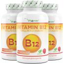 (3x 365) Tabletten - Himbeere: Vitamin B12 1000 mcg