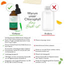 Chlorophyll Tropfen - 100 ml - 3000 Tropfen
