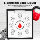 L-Carnitine 6000 Liquid - Cherry Madness, 1000 ml